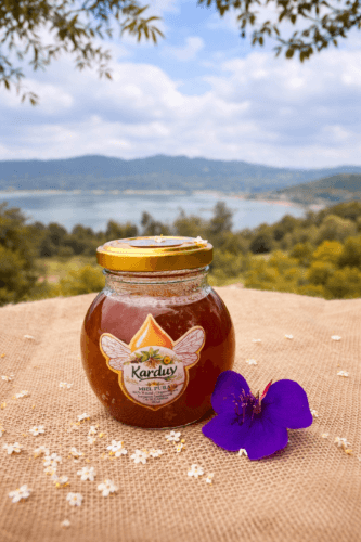 Miel Natural Boyacá - Karduy